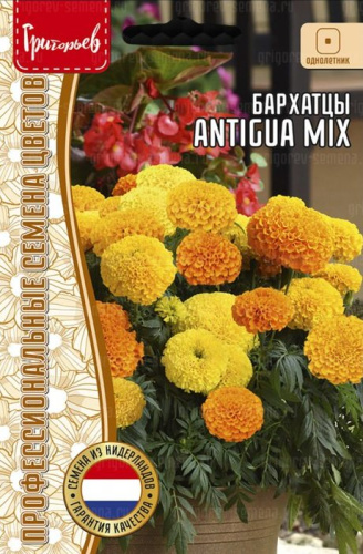 Бархатцы Антигуа F1 Микс