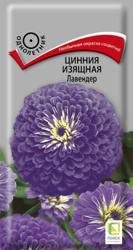 Цинния Лавендер изящная