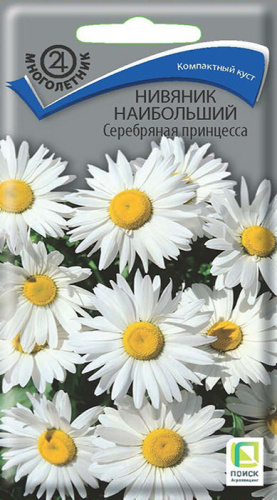 Нивяник наибольший Серебряная принцесса