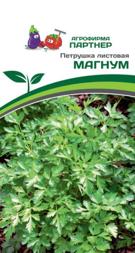 Петрушка Магнум листовая