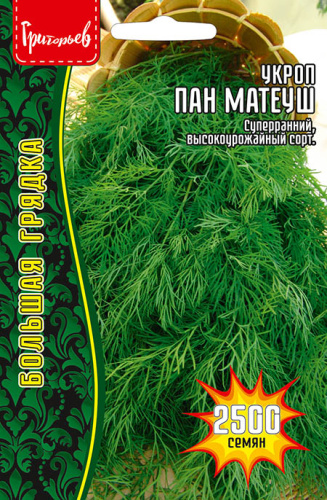Укроп Пан Матеуш (быстроотрастающий)