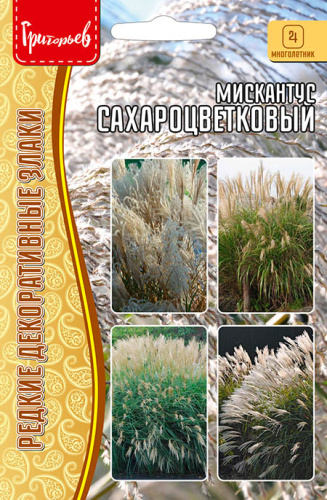 Мискантус Сахароцветковый
