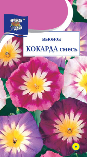 Вьюнок кокарда, смесь 
