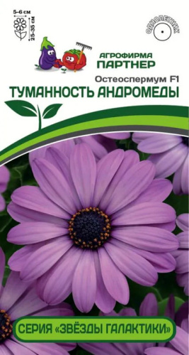 Остеоспермум Эклона F1 Звезды Галактики Туманность Андромеды