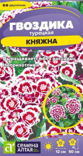 Гвоздика Княжна турецкая 