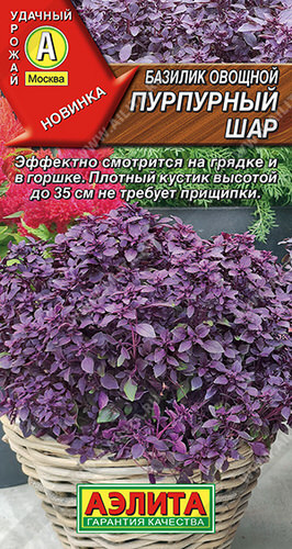 Базилик Пурпурный шар