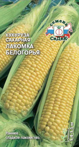 Кукуруза Лакомка Белогорья (сахарная) 