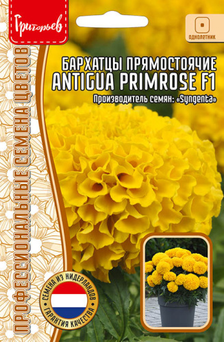 Бархатцы Антигуа F1 Примароз