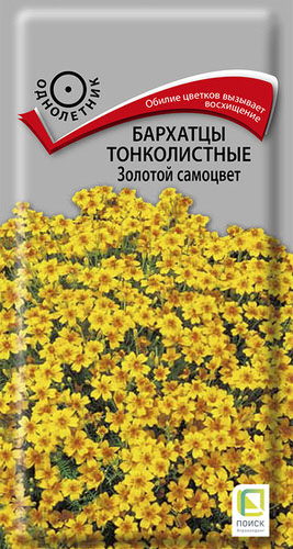 Бархатцы Золотой самоцвет тонколистные