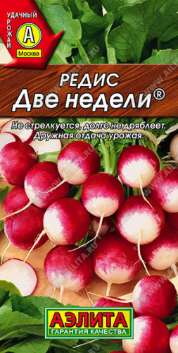 Редис Две недели 