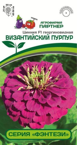 Цинния Византийский Пурпур F1 (2-ной пак.) 