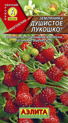 Земляника Душистое лукошко 