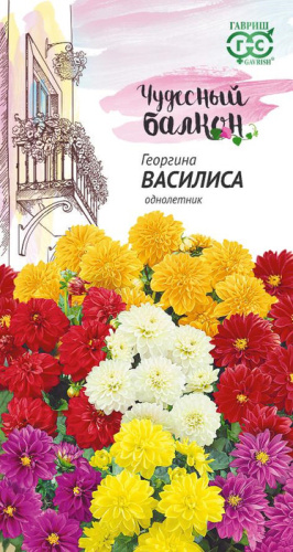 Георгина Василиса Чудесный балкон