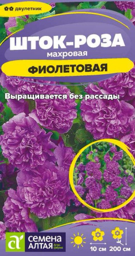 Шток-роза Фиолетовая
