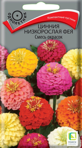 Цинния Фея Смесь окрасок низкорослая