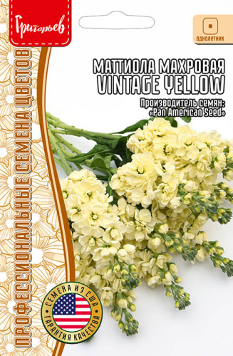 Маттиола Vintage Yellow махровая