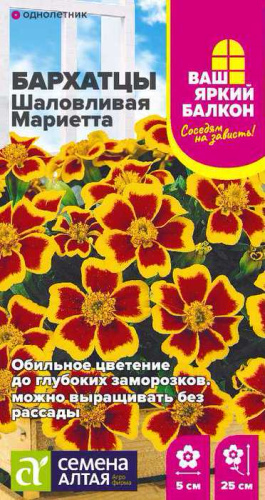 Бархатцы Шаловливая Мариетта Ваш яркий балкон