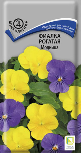 Фиалка Модница рогатая