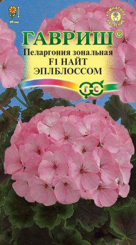 Пеларгония Найт Эплблоссом F1