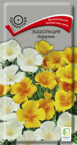 Эшшольция Нефертити 