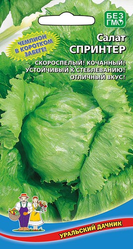 Салат Спринтер 