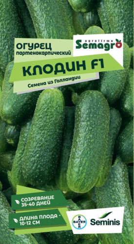 Огурец Клодин F1 