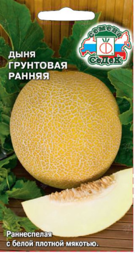 Дыня Грунтовая ранняя 