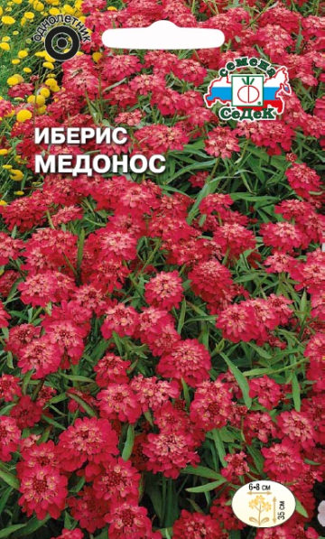 Иберис Медонос зонтичный, красный