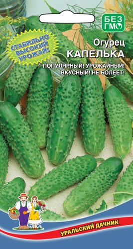 Огурец Капелька 