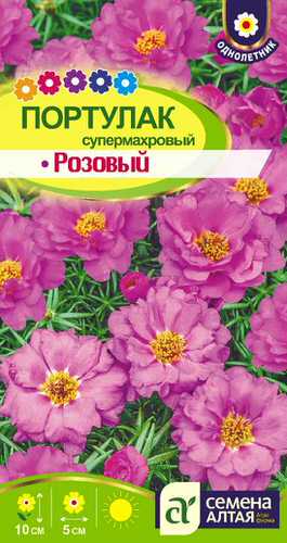 Портулак Супермахровый Розовый