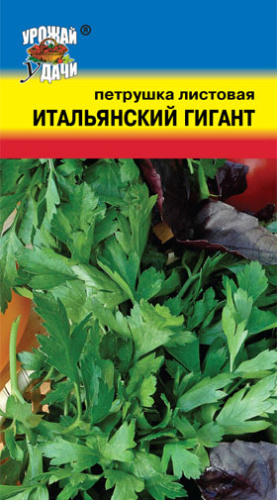 Петрушка Итальянский Гигант листовая