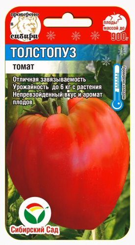 Томат Толстопуз (Фиделио) 