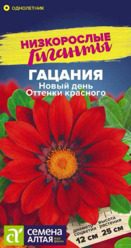 Гацания Новый день F1 Оттенки красного