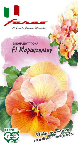 Виола Виттрока Маршмеллоу F1