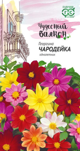 Георгина Чародейка смесь 