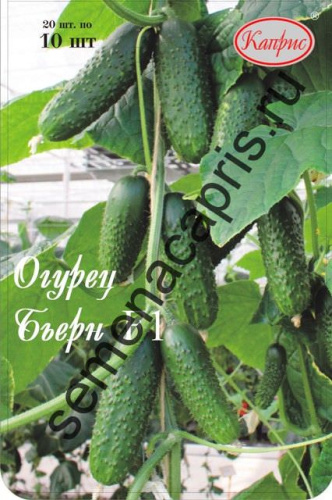Огурец Бьерн F1/1шт
