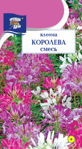 Клеома Королева, смесь 