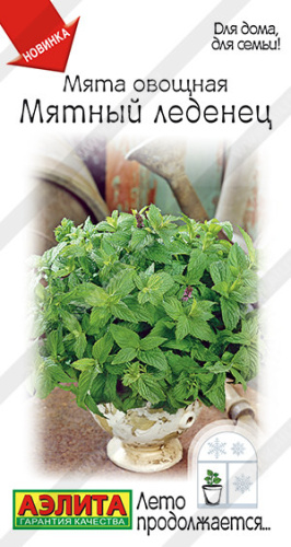 Мята Мятный леденец Лето продолжается