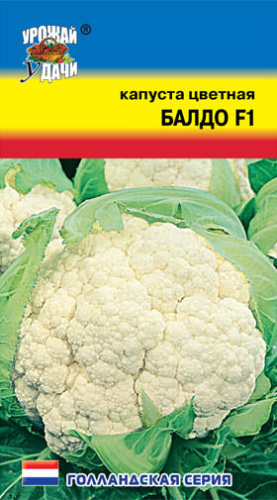 Капуста (цветная) Балдо F1 