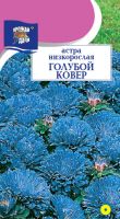 Астра Ковер Голубой низкорослая купить