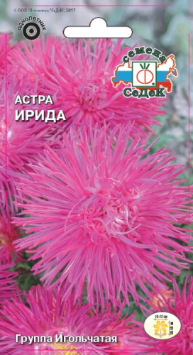 Астра Ирида