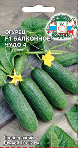Огурец Балконное Чудо 4  F1
