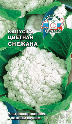 Капуста (цветная) Снежанна 