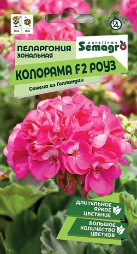 Пеларгония Зональная Колорама F2 Роуз 