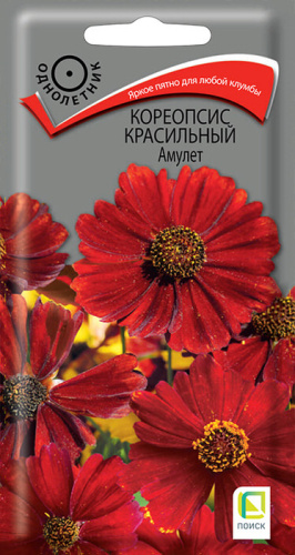 Кореопсис красильный Амулет