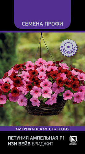 Петуния Изи вейв F1 Бриджит ампельная 