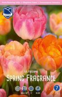 Смесь тюльпанов "Spring Fragrance" (1х15шт) купить