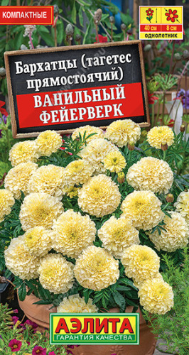 Бархатцы Ванильный фейерверк прямостоячие