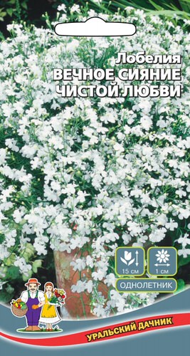 Лобелия Вечное Сияние Чистой Любви F1 