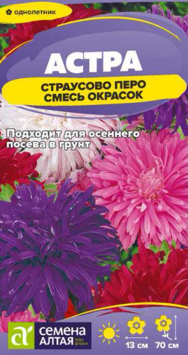 Астра Страусово Перо Смесь окрасок 